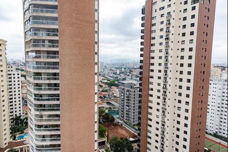 Apartamento à venda com 227m², 4 quartos e 4 vagasVista da suíte 3