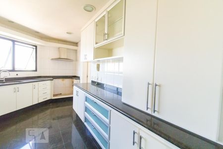 Apartamento à venda com 257m², 4 quartos e 6 vagasCozinha