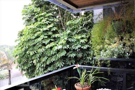 Apartamento à venda com 3 quartos, 158m² em Bela Aliança, São Paulo