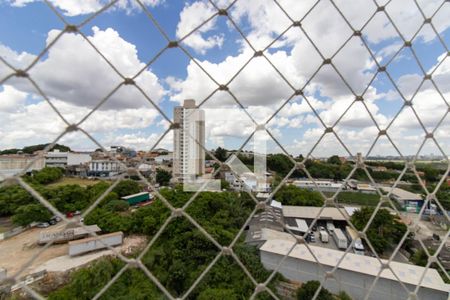 Apartamento para alugar com 64m², 3 quartos e 1 vagaVista da Suíte 