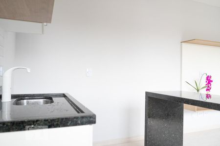 Apartamento para alugar com 32m², 1 quarto e sem vaga Apartamento para alugar com 32m², 1 quarto e sem vagaCozinha