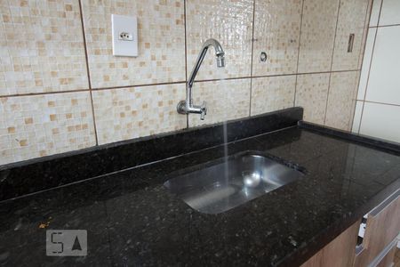 Apartamento para alugar com 60m², 2 quartos e 1 vagaCozinha - pia