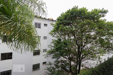 Vista da Sala de apartamento para alugar com 3 quartos, 72m² em Conjunto Residencial Butanta, São Paulo