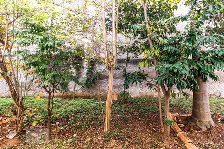 Vista Sala de apartamento para alugar com 1 quarto, 40m² em Chácara Santo Antônio (zona Sul), São Paulo