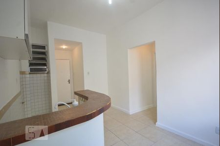 Sala/Cozinha de apartamento para alugar com 1 quarto, 35m² em Flamengo, Rio de Janeiro