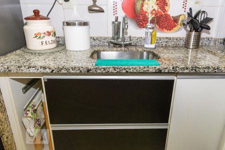 Apartamento para alugar com 65m², 2 quartos e 1 vagaCozinha - Armários