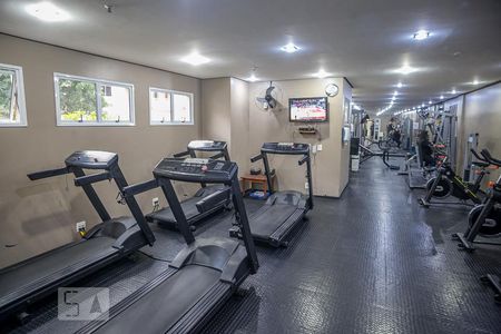 Apartamento para alugar com 54m², 2 quartos e 1 vagaÁrea comum - Academia