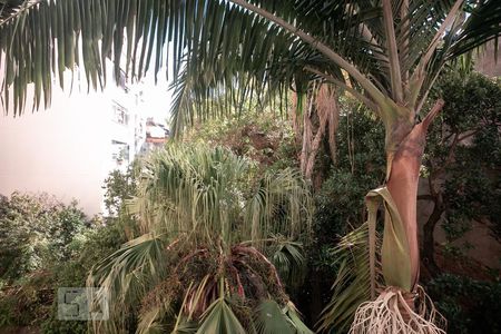 Apartamento à venda com 48m², 1 quarto e sem vagaVista