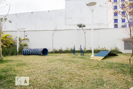 Pet de apartamento para alugar com 1 quarto, 38m² em Pinheiros, São Paulo