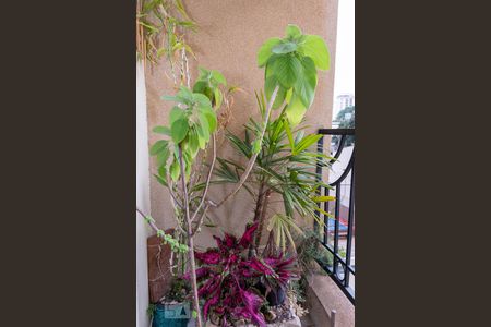 Apartamento à venda com 106m², 4 quartos e 2 vagasVaranda