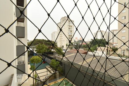 Vista da varanda - leste de apartamento à venda com 2 quartos, 50m² em Vila Antonieta, São Paulo