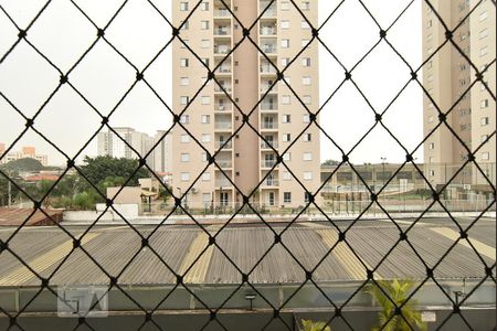 Vista da varanda - nordeste de apartamento à venda com 2 quartos, 50m² em Vila Antonieta, São Paulo