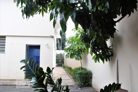 Casa à venda com 500m², 5 quartos e 5 vagasQuintal