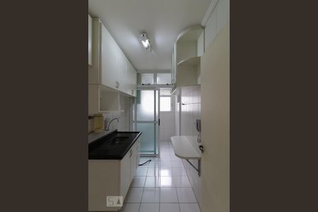 Apartamento para alugar com 60m², 3 quartos e 1 vaga Apartamento para alugar com 60m², 3 quartos e 1 vagaCozinha