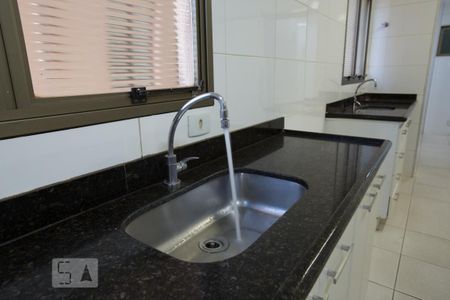 Apartamento para alugar com 202m², 4 quartos e 3 vagasCozinha - pia