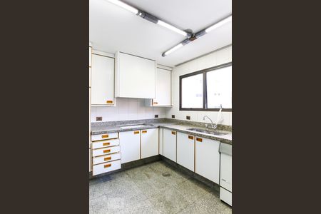 Apartamento para alugar com 375m², 4 quartos e 3 vagasCozinha