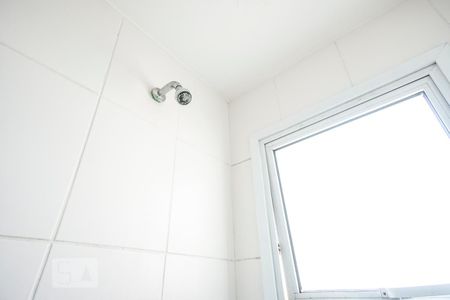 Chuveiro de apartamento para alugar com 2 quartos, 49m² em Maranhão, São Paulo