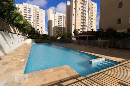 Área comum - Piscina de apartamento para alugar com 2 quartos, 47m² em Parque Campolim, Sorocaba