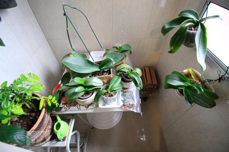 Apartamento à venda com 136m², 4 quartos e 1 vagaBanheiro Social