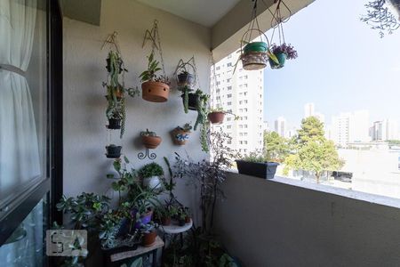 Varanda da Sala de apartamento à venda com 3 quartos, 71m² em Vila Firmiano Pinto, São Paulo