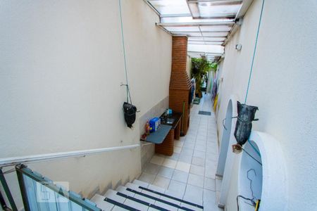 Casa para alugar com 367m², 3 quartos e 6 vagasQuintal