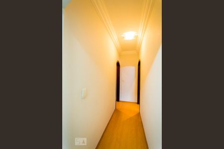 Casa para alugar com 367m², 3 quartos e 6 vagasCorredor - Superior