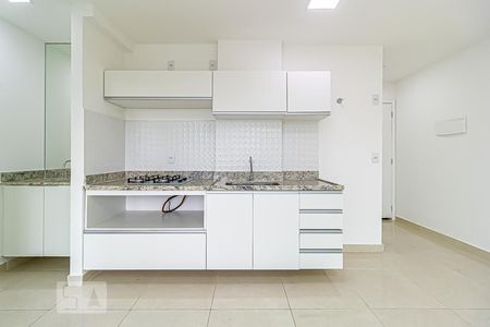Apartamento para alugar com 36m², 1 quarto e 1 vagaCozinha - Armários