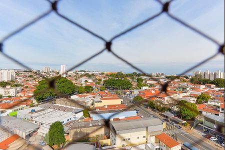 Apartamento para alugar com 70m², 3 quartos e 1 vagaSuíte