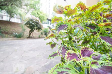 Apartamento para alugar com 43m², 1 quarto e 1 vaga Apartamento para alugar com 43m², 1 quarto e 1 vagaÁrea comum