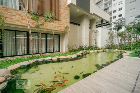Apartamento para alugar com 39m², 1 quarto e sem vagaLago de carpas