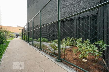Apartamento para alugar com 39m², 1 quarto e sem vagaHorta comunitária