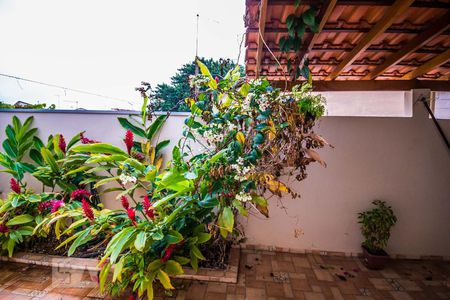Vista da Sala de casa para alugar com 2 quartos, 65m² em Jardim Quarto Centenário, Campinas