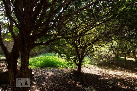 Casa à venda com 552m², 4 quartos e 7 vagasQuintal