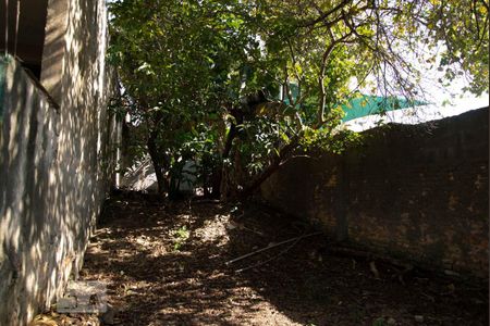 Casa à venda com 552m², 4 quartos e 7 vagasQuintal