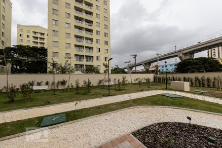 Apartamento para alugar com 30m², 1 quarto e sem vaga Apartamento para alugar com 30m², 1 quarto e sem vagaPista Caminhada