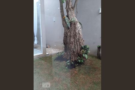 Área Externa de casa para alugar com 4 quartos, 344m² em Bosque da Saúde, São Paulo