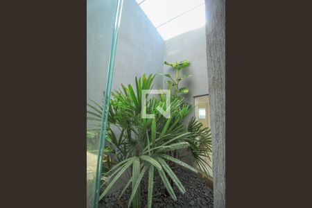 Jardim de inverno de casa para alugar com 3 quartos, 240m² em Alto da Mooca, São Paulo