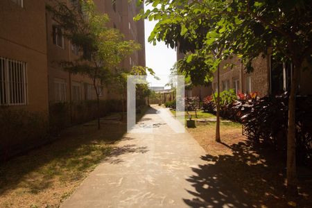Área comum de apartamento à venda com 2 quartos, 50m² em Jardim das Graças, São Paulo