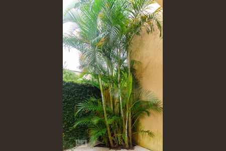 Casa de condomínio à venda com 90m², 2 quartos e 1 vagaÁrea Externa