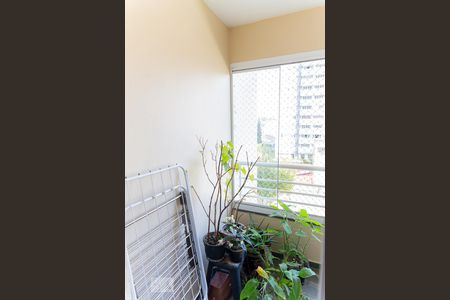 Varanda da Sala de apartamento à venda com 2 quartos, 70m² em Vila Gilda, Santo André