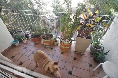 Varanda da Sala de apartamento à venda com 3 quartos, 94m² em Jardim Ampliação, São Paulo