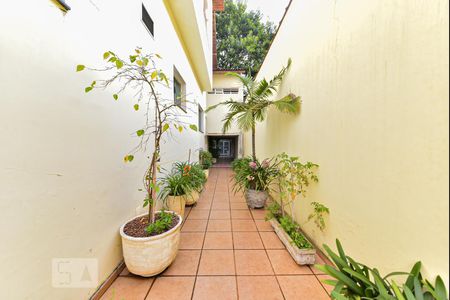 Casa para alugar com 550m², 4 quartos e 6 vagasQuintal