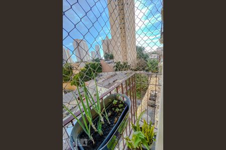 Varanda de apartamento à venda com 3 quartos, 66m² em Vila Prudente, São Paulo