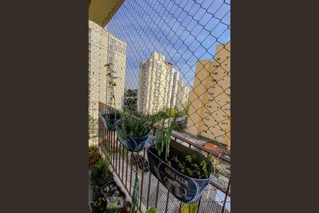 Varanda de apartamento à venda com 3 quartos, 66m² em Vila Prudente, São Paulo