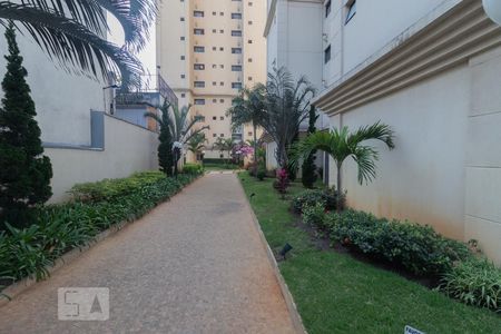 Apartamento para alugar com 68m², 2 quartos e 1 vagaÁrea comum