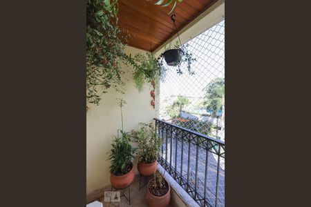 Sacada de apartamento à venda com 3 quartos, 78m² em Parque Mandaqui, São Paulo