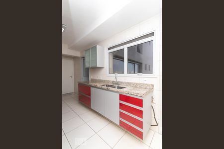 Apartamento para alugar com 168m², 4 quartos e 2 vagas Apartamento para alugar com 168m², 4 quartos e 2 vagasCozinha