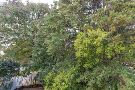 Casa à venda com 450m², 4 quartos e 4 vagasVista do Quarto 3