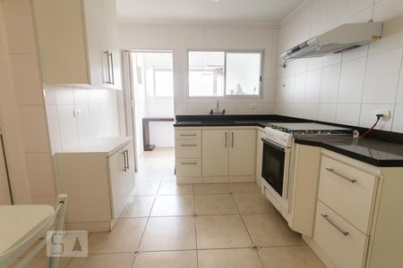 Apartamento à venda com 243m², 3 quartos e 2 vagasCozinha