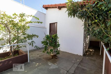 Casa para alugar com 300m², 3 quartos e 1 vagaQuintal